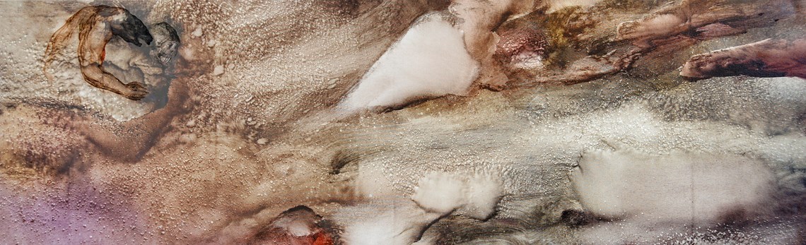 Daydreams - 5 | Senol Tilki