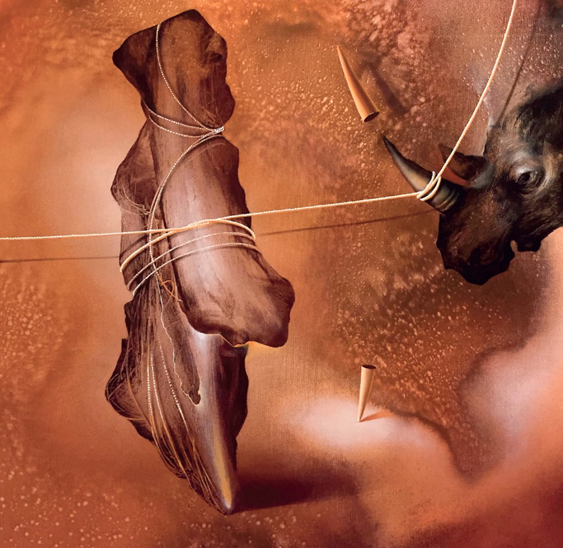 Ropes Logs - 25 | Senol Tilki