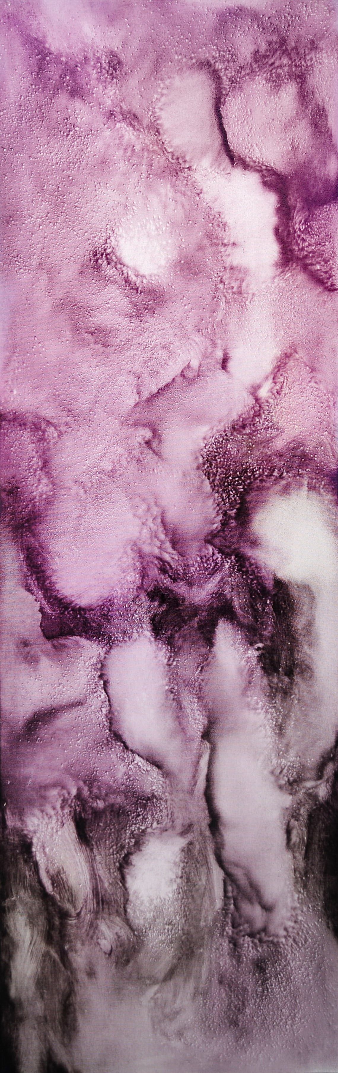 Daydreams - 7 | Senol Tilki