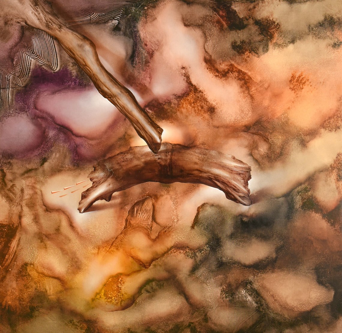 Ropes Logs - 17 | Senol Tilki