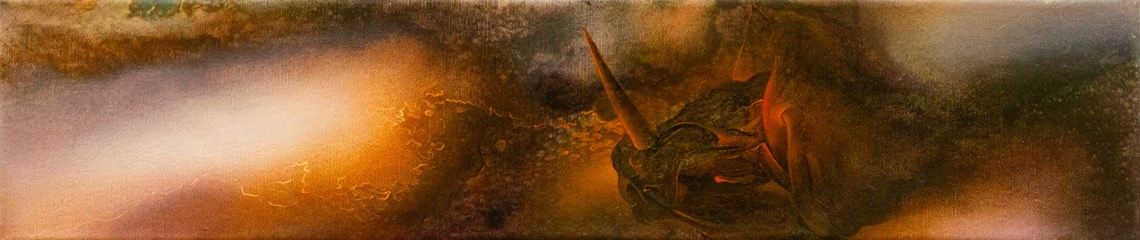 Ropes Logs - 41 | Senol Tilki