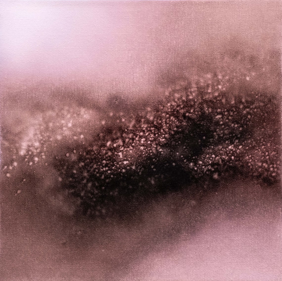 Ropes Logs - 43 | Senol Tilki