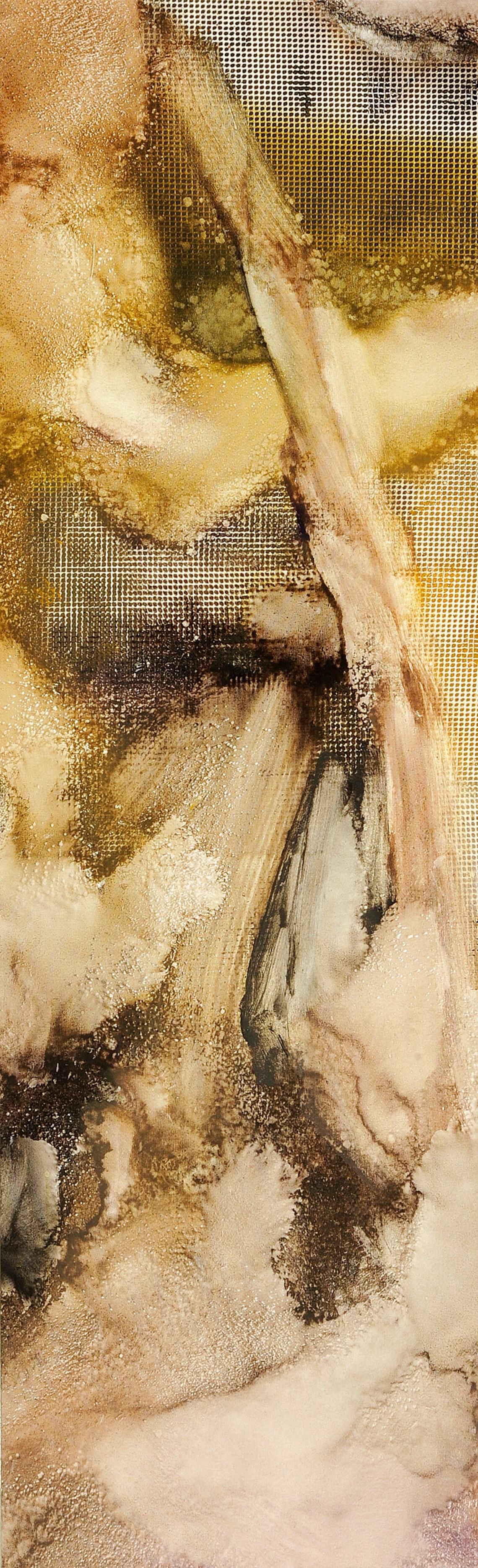 Ropes Logs - 1 | Senol Tilki